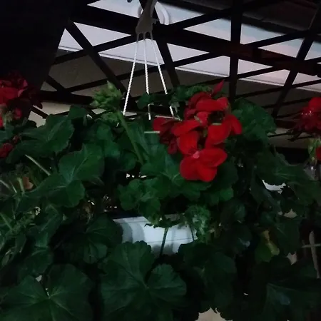 Casuta Noastra Draga
